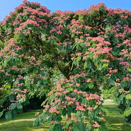 Nocleg ze śniadaniem Au Clos Des Templiers 3*