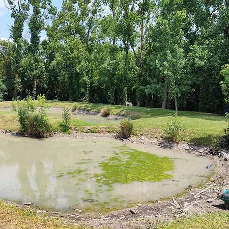 Au Clos Des Templiers 3* Puyravault (Vendee)